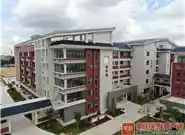南宁市高新小学：多校区发展的探索与实践