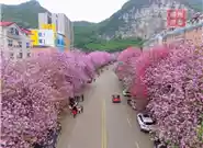柳州气候和南宁气候