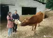 南宁市养殖场：现状与发展前景